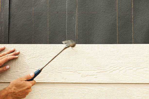 Best Brick Veneer Siding  in Orida City, FL